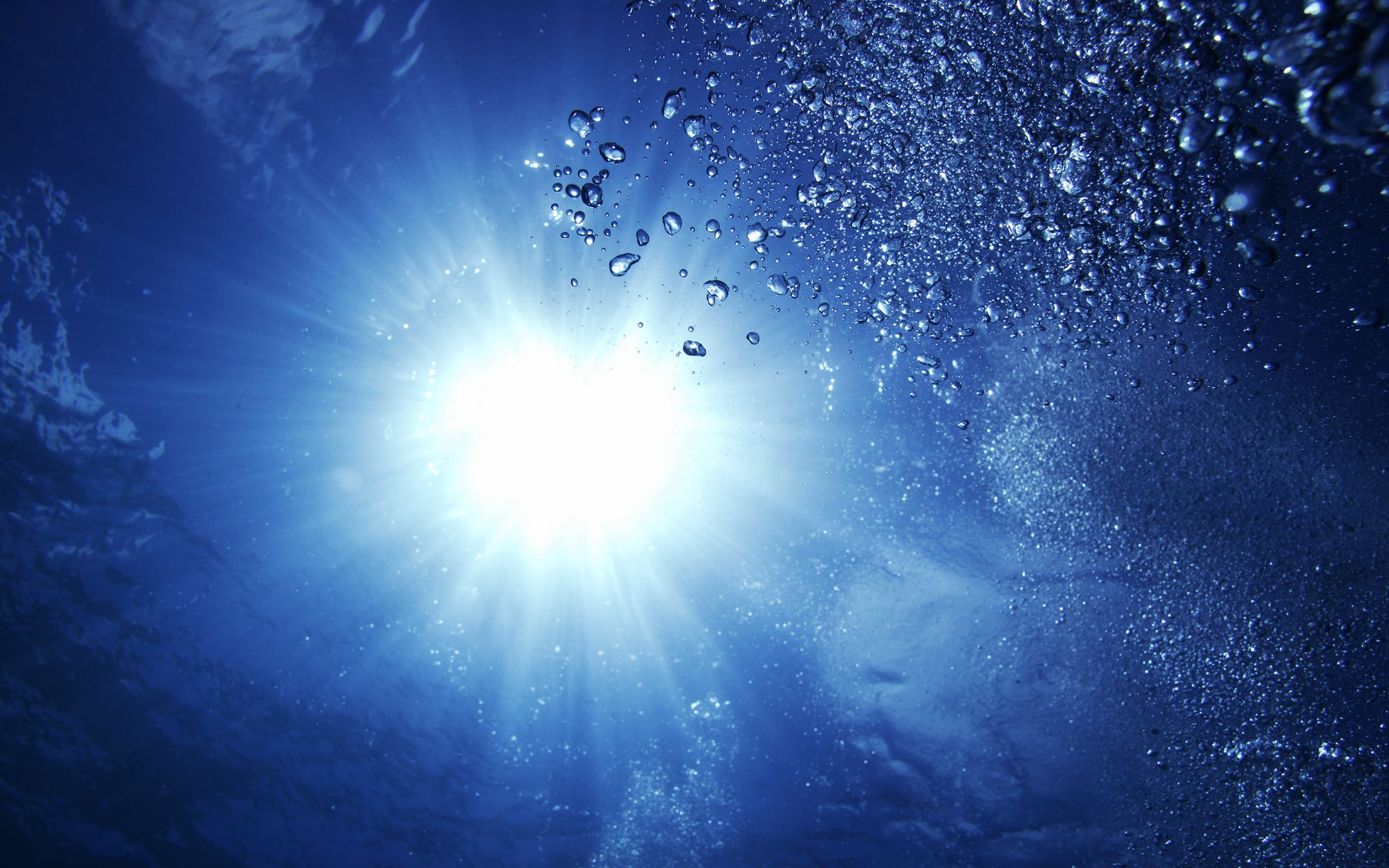 世界田径社区跑步地图发布：路线与服务点一览，国际田径跑道